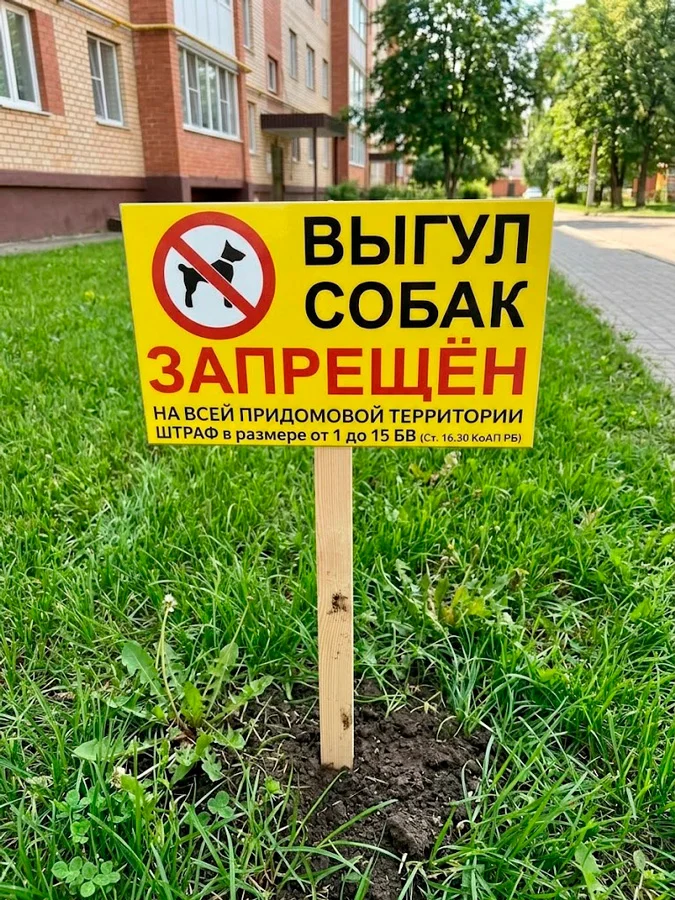 Пример работ